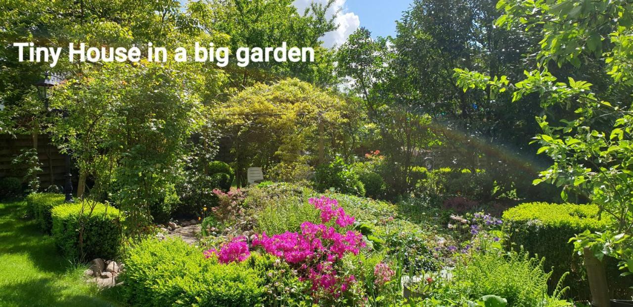 Guesthouse Vakantiehuis In Een Mooie Tuin In Het Centrum Van Zuidlaren! 외부 사진