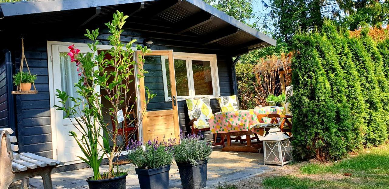 Guesthouse Vakantiehuis In Een Mooie Tuin In Het Centrum Van Zuidlaren! 외부 사진